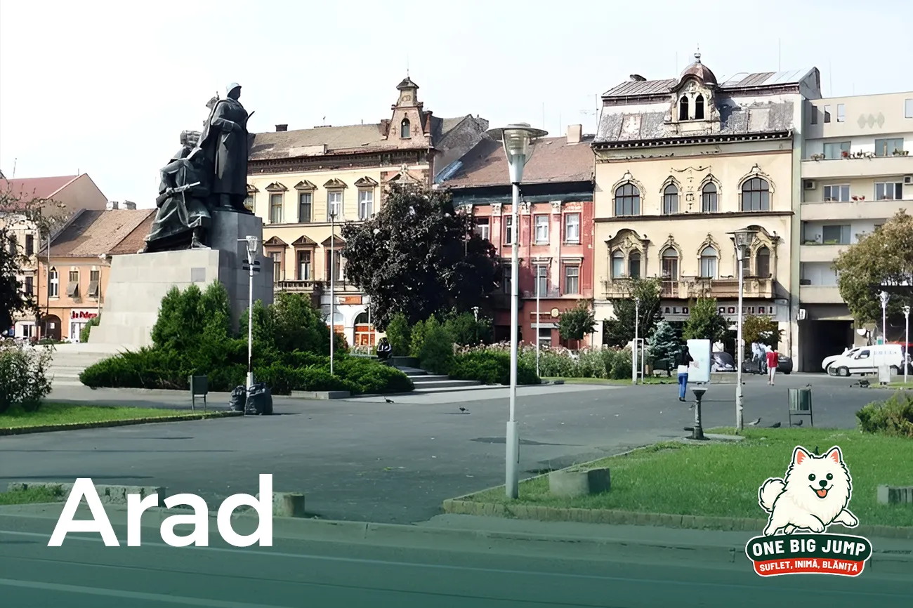 one big jump arad