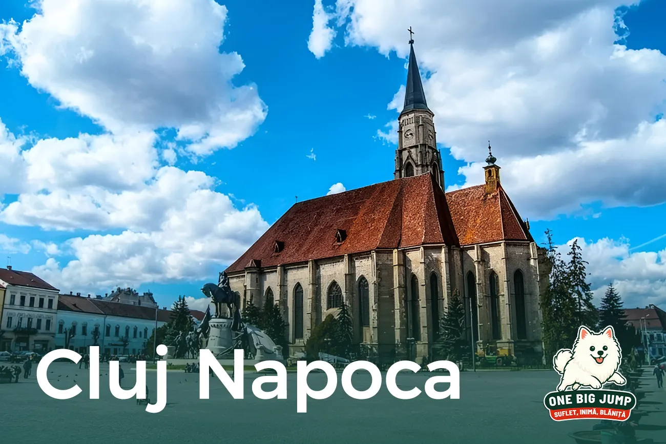 one big jump cluj napoca