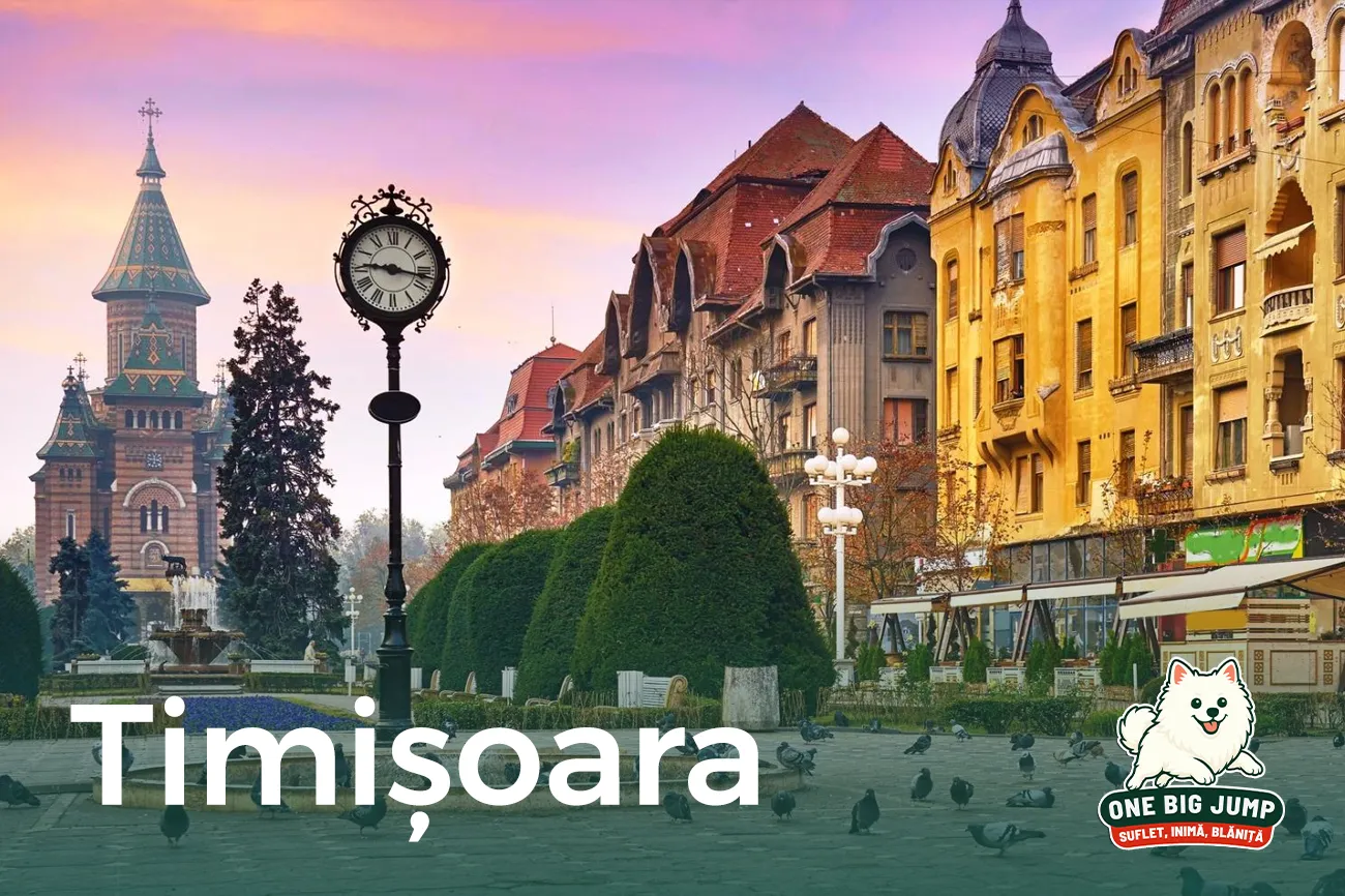 one big jump timisoara