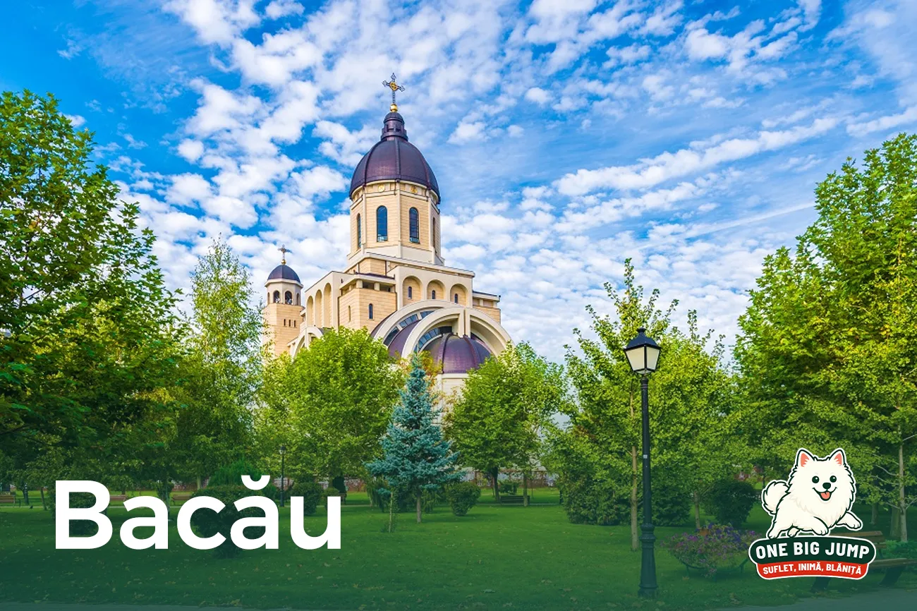 bacau