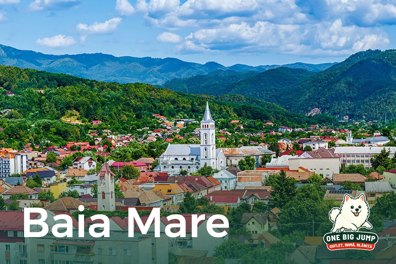 baia mare