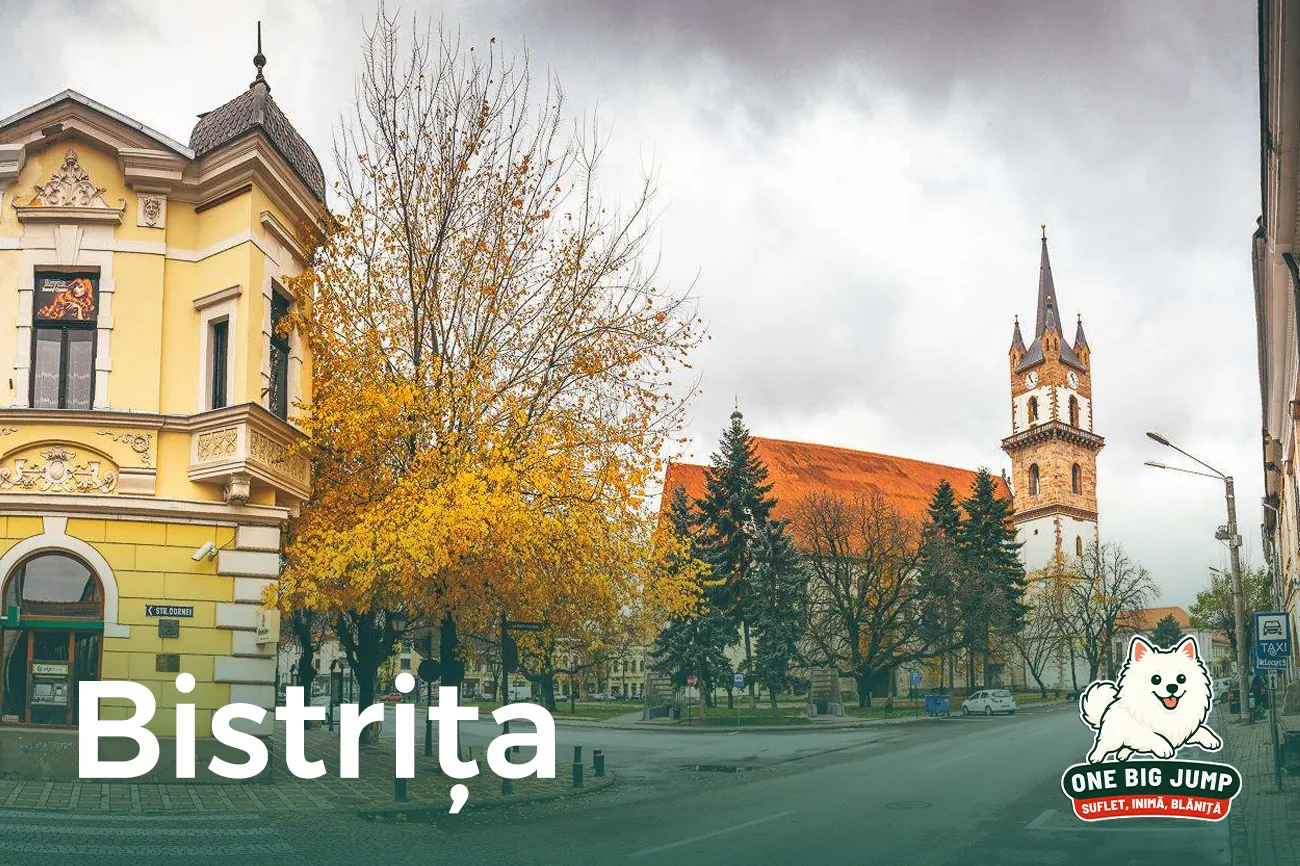 bistrita