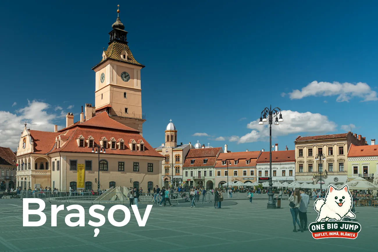 brasov
