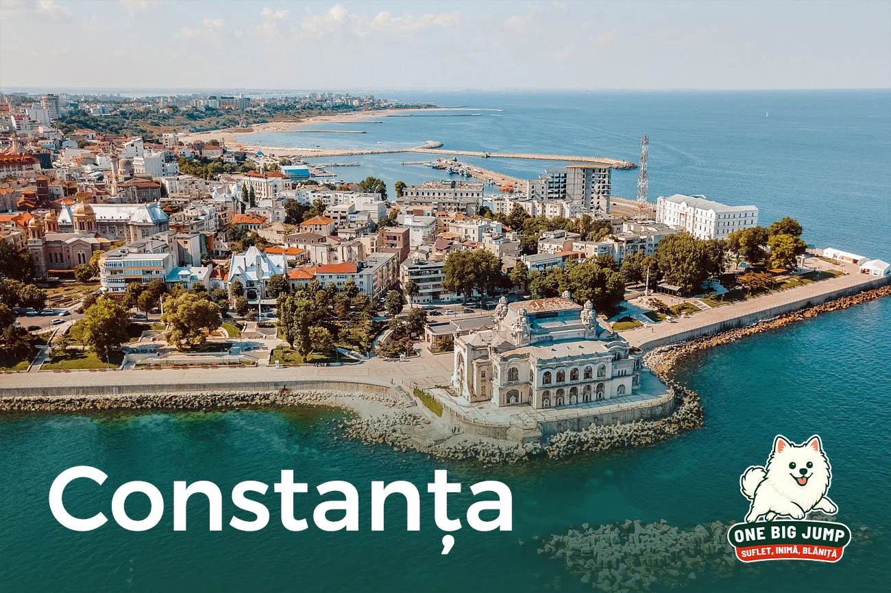 constanta