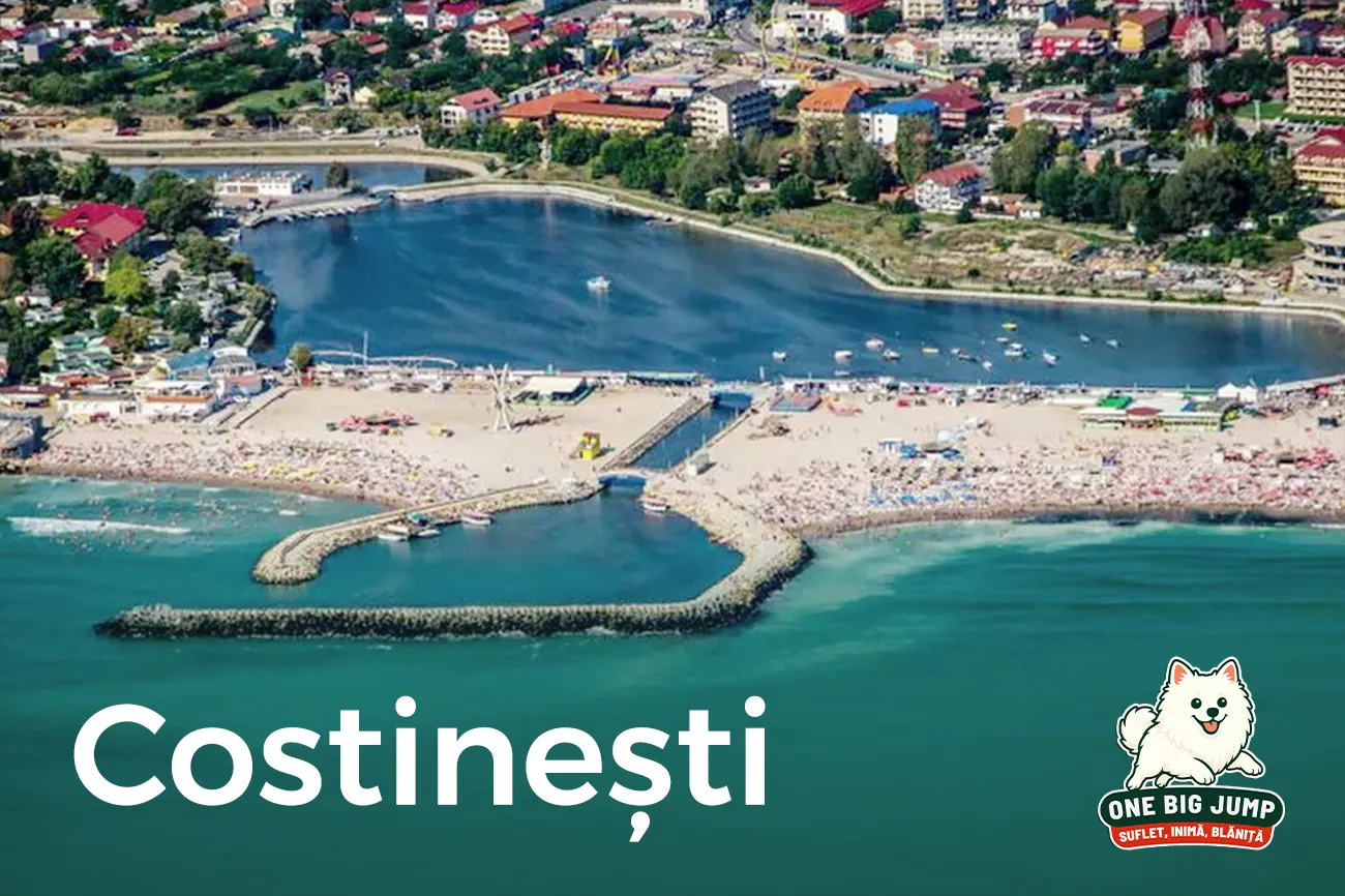 costinesti