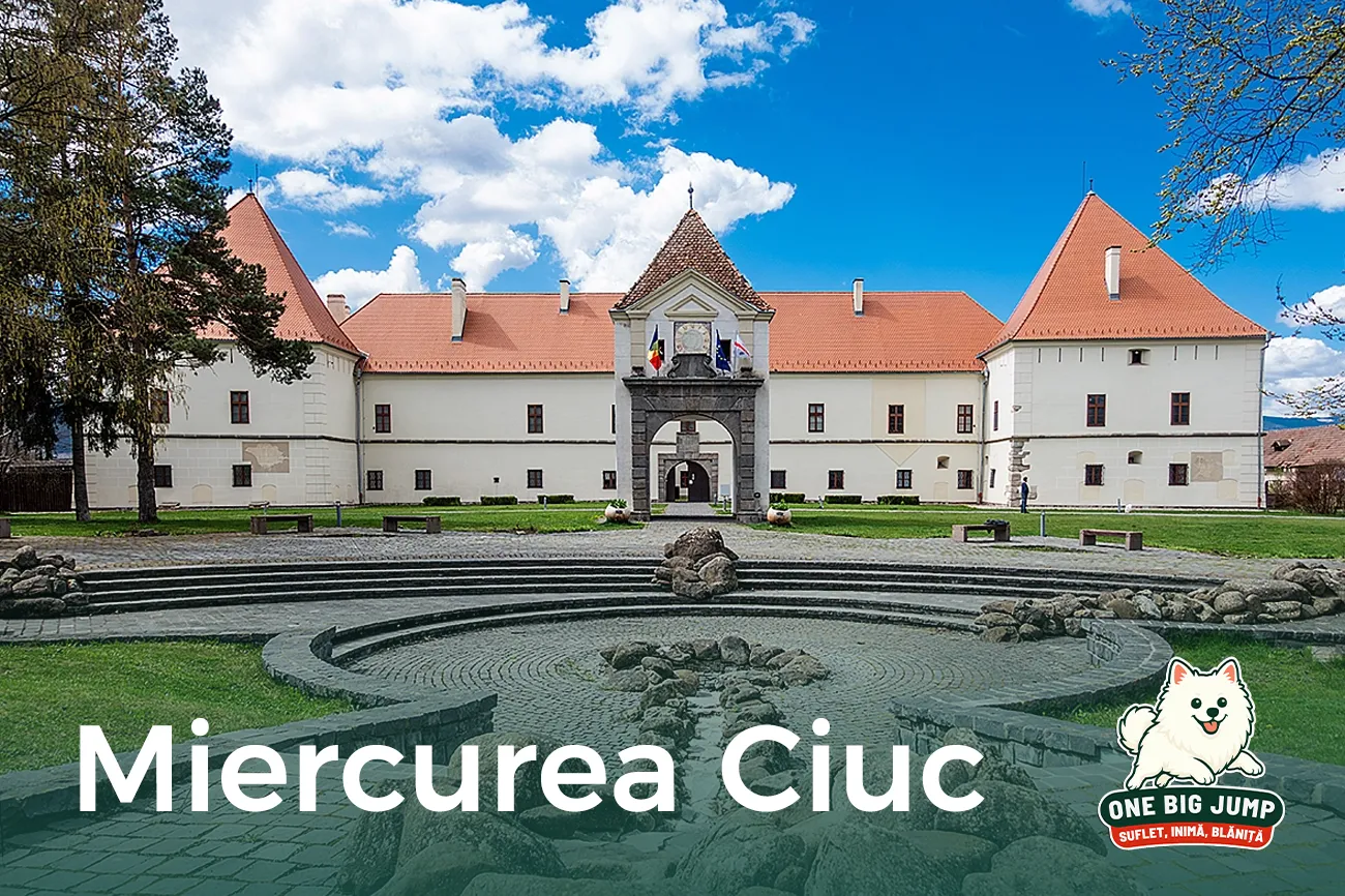 miercurea ciuc