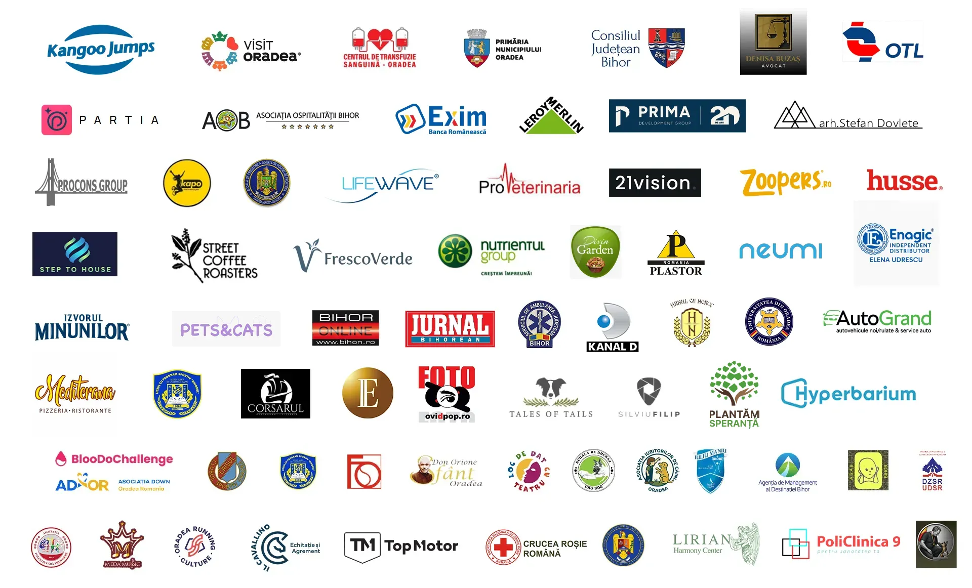 parteneri one big jump