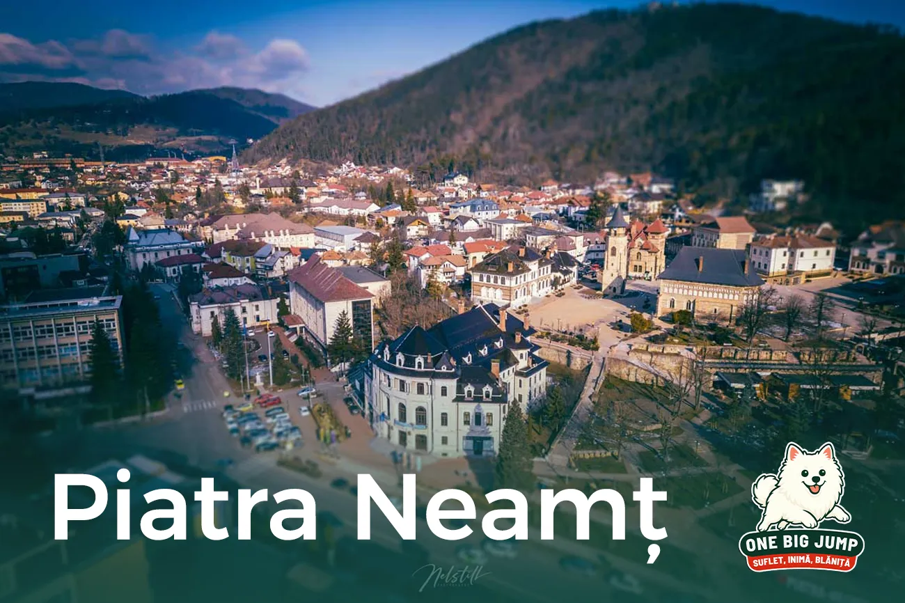 piatra neamt