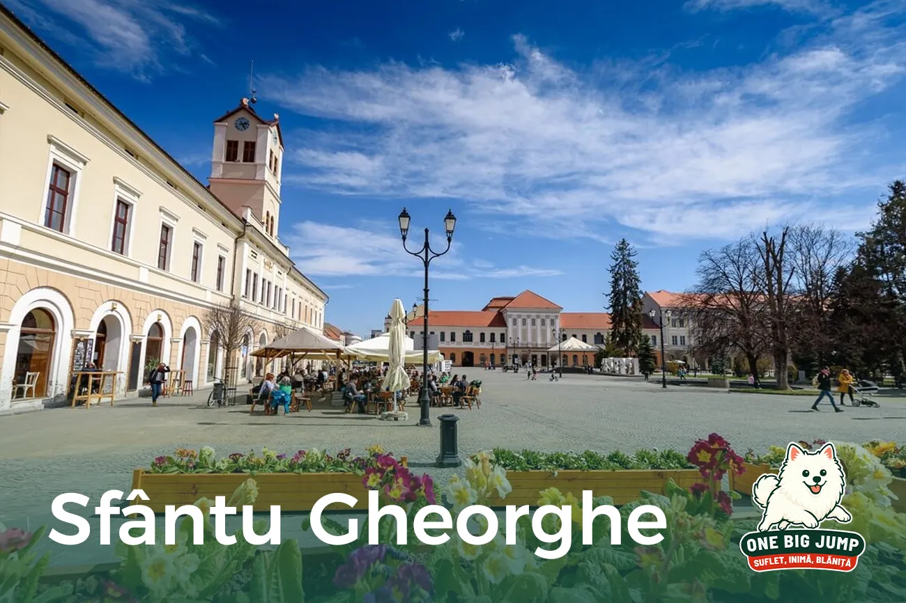 sfantu gheorghe