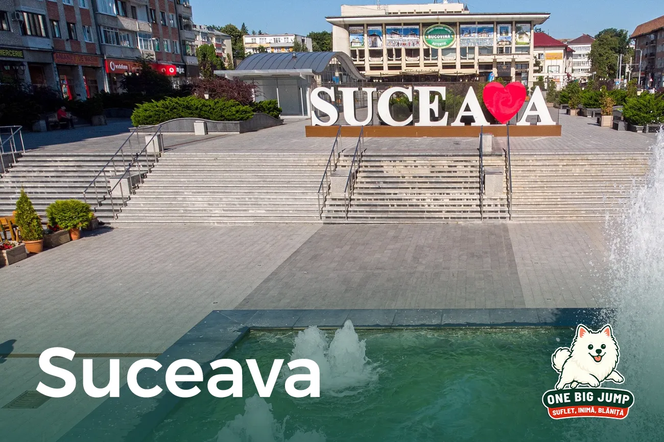 suceava