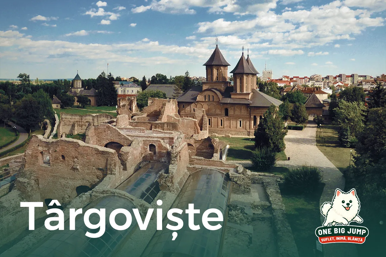 targoviste