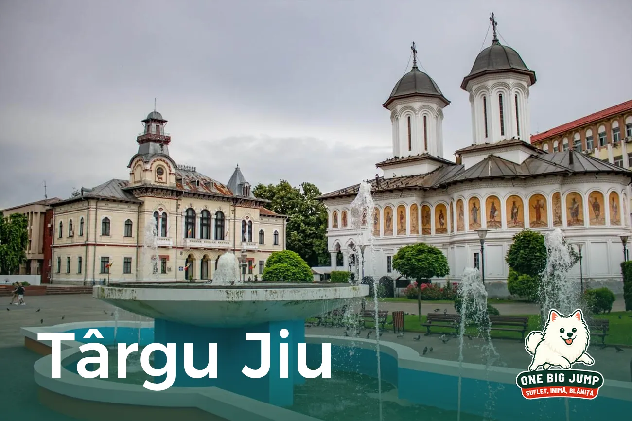 targu jiu