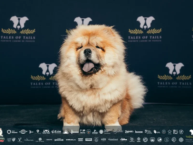 one big jump oradea 2025 (44)