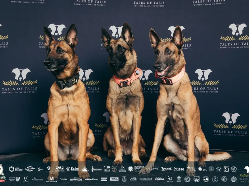 one big jump oradea 2025 (54)