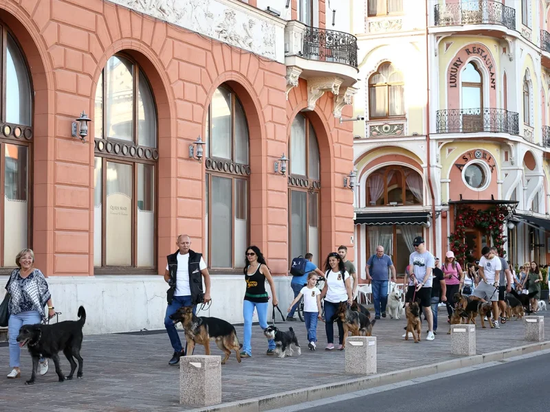 oradea one big jump