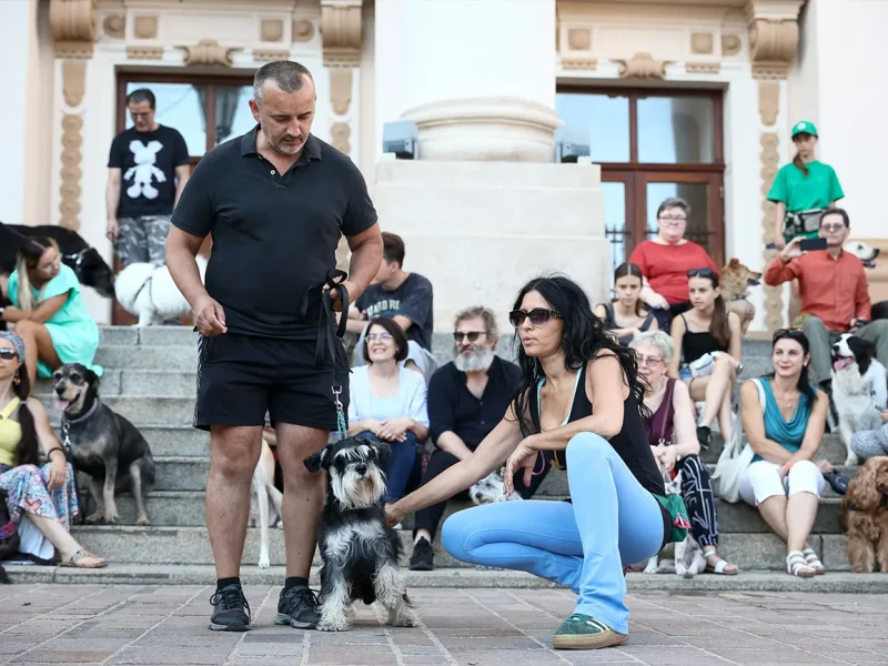 oradea one big jump