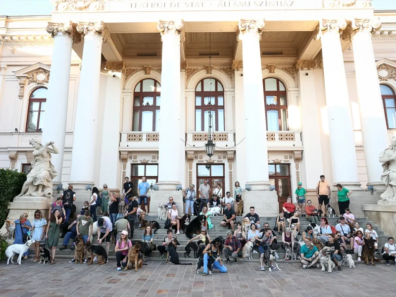 oradea one big jump